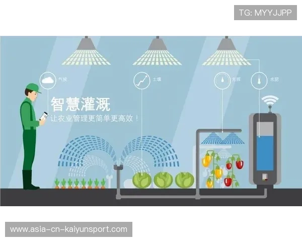 执行精准效率全面提升 执行精准效率全面提升